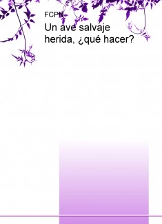 Un ave salvaje herida, ¿qué hacer?
