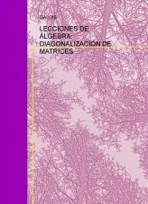 Libro LECCIONES DE ÁLGEBRA: DIAGONALIZACIÓN DE MATRICES, autor Antonio López García