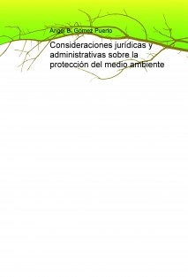 Consideraciones jurídicas y administrativas sobre la protección del medio ambiente