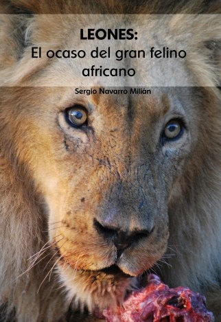 LEONES: El ocaso del gran felino africano | SERGIO NAVARRO MILIAN