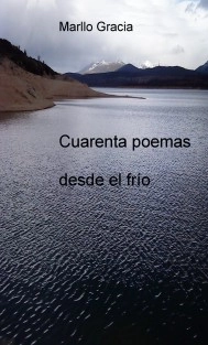Cuarenta poemas desde el frío