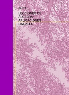 LECCIONES DE ÁLGEBRA: APLICACIONES LINEALES