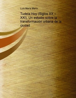 Tudela Hoy (Siglos XX – XXI), Un estudio sobre la transformación urbana de la ciudad