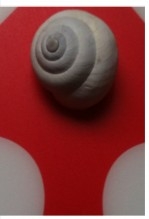 BABA DE CARACOL