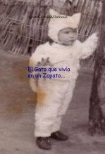Libro El Gato que vivía en un Zapato, autor Agustin J. Peña Villafranca