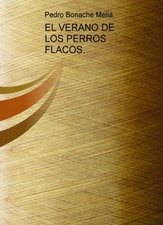 EL VERANO DE LOS PERROS FLACOS.