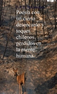 Poesía con un cierto desencanto y toques chilenos perdidos en la mente humana.