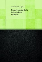 Perdut enmig de la boira i altres històries