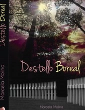 Libro Destello Boreal, autor boreal