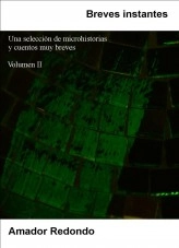 Libro Breves instantes: Una selección de microhistorias y cuentos muy breves - Volumen 2, autor Amador Redondo Menudo
