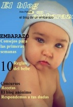Libro el blog de un embarazo, autor xirispatricia