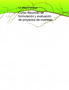 Curso resumido de formulación y evaluación de proyectos de inversión