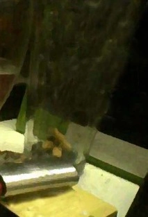Pequeño Aniquilador