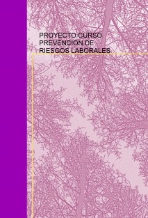PROYECTO CURSO PREVENCION DE RIESGOS LABORALES