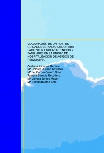ELABORACIÓN DE UN PLAN DE CUIDADOS ESTANDARIZADO PARA PACIENTES ESQUIZOFRENICOS Y FAMILIARES EN LA UNIDAD DE HOSPITALIZACIÓN DE AGUDOS DE PSIQUIATRIA.