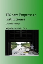 TIC para Empresas e Instituciones. La última burbuja.