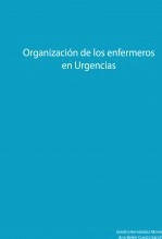 Libro Organización de los enfermeros en Urgencias, autor titanxx