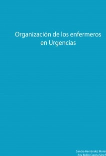 Organización de los enfermeros en Urgencias