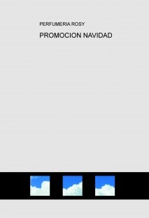 PROMOCION NAVIDAD