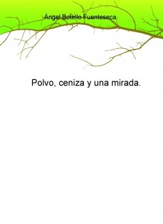 Polvo, ceniza y una mirada
