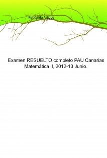 Examen RESUELTO completo PAU Canarias Matemática dos, 2012-13 Junio