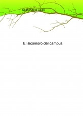 Libro El sicómoro del campus, autor oterocouto