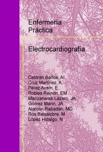 Enfermería Práctica