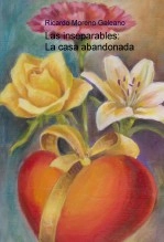 Libro Las inseparables: La casa abandonada, autor solradiante
