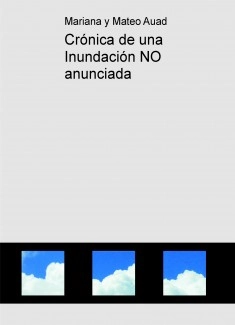 Crónica de una Inundación NO anunciada