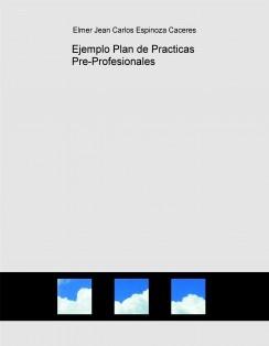 Ejemplo Plan de Practicas Pre-Profesionales