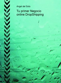 Tu primer Negocio online DropShipping