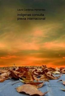 consulta previa internacional