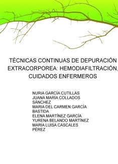 TÉCNICAS CONTINUAS DE DEPURACIÓN EXTRACORPOREA: HEMODIAFILTRACIÓN, CUIDADOS ENFERMEROS