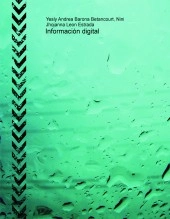 Libro Información digital, autor yesly