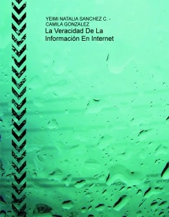 La Veracidad De La Información En Internet