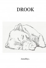 Libro DROOK, autor valeria Taborga