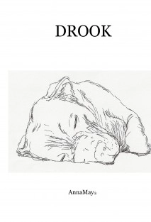 DROOK