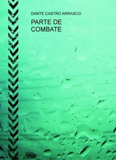 PARTE DE COMBATE