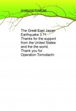 Libro The Great East Japan Earthquake 3.11, autor Yashiro Hiroshi
