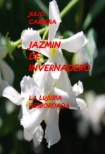 Libro JAZMIN DE INVERNADERO, autor lujioigor