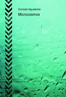 Microcosmos