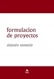 formulacion de proyectos