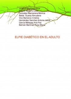 ELPIE DIABÉTICO EN EL ADULTO
