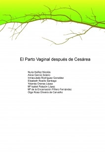 EL PARTO VAGINAL DESPUÉS DE CESÁREA