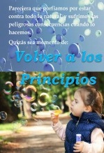 Libro VOLVER A LOS PRINCIPIOS, autor CARLOS ARMANDO TORRES