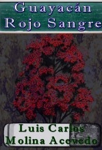 Libro Guayacán Rojo Sangre, autor Luis Carlos Molina Acevedo