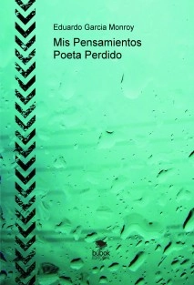 Mis Pensamientos Poeta Perdido