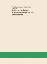 Libro Factores de Riesgo Predominantes en las Vías Dominicanas, autor mario holguin