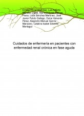 Libro Cuidados de enfermería en pacientes con enfermedad renal crónica en fase aguda, autor enfermeros8
