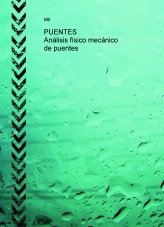 Libro PUENTES. Análisis físico mecánico de puentes, autor M 6